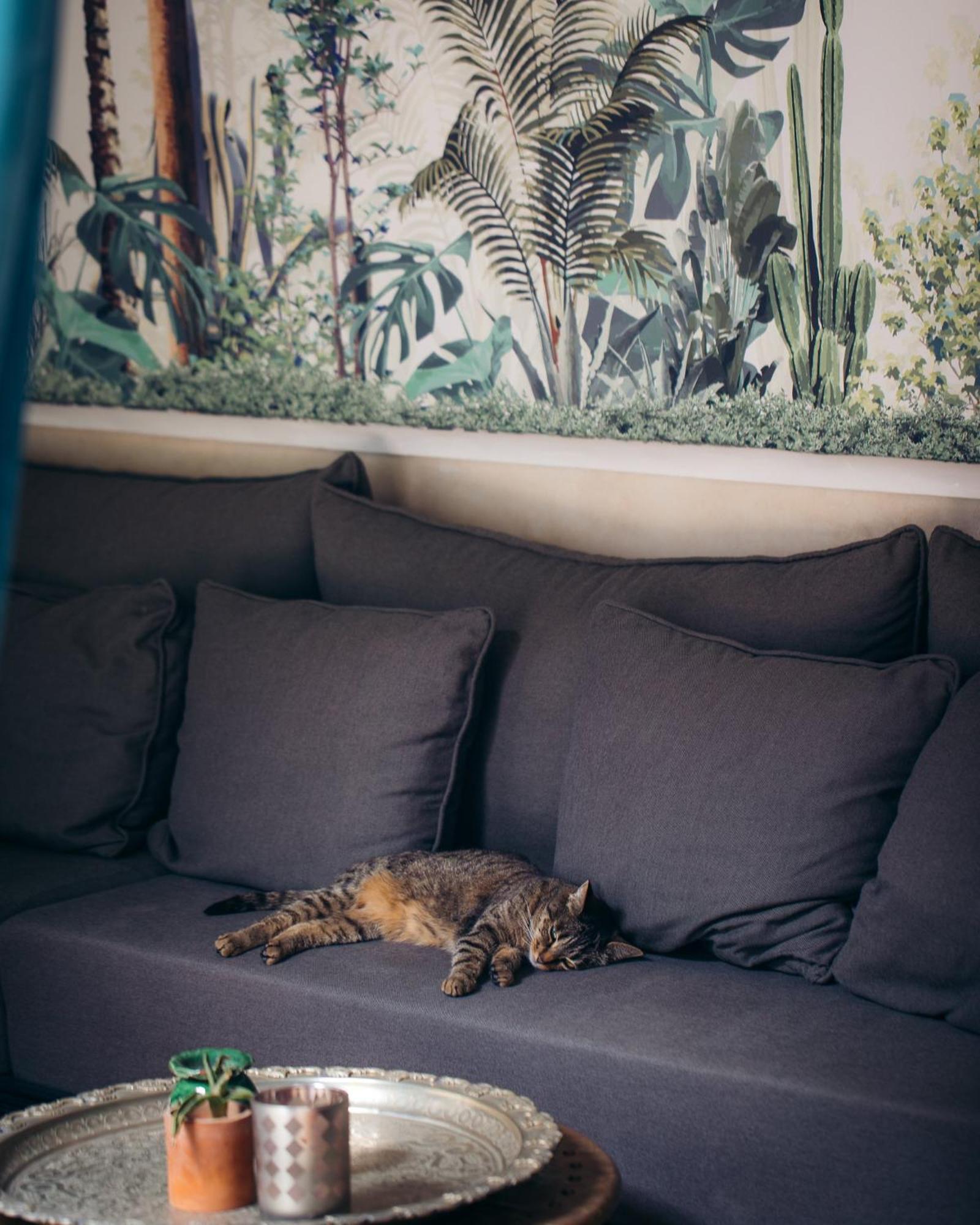 Riad Rafaele & Marrakesh